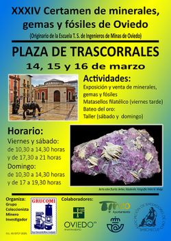 XXXIV Certamen de minerales, gemas y fósiles de Oviedo