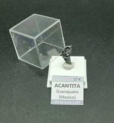 Acantita