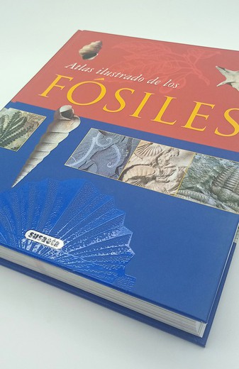 Atlas ilustrado de los Fósiles