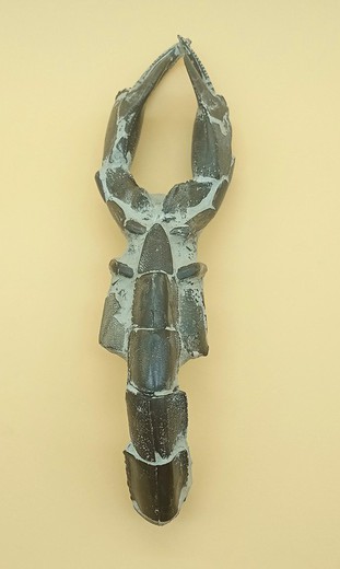 Crustáceo fósil (Thalassina emerii)