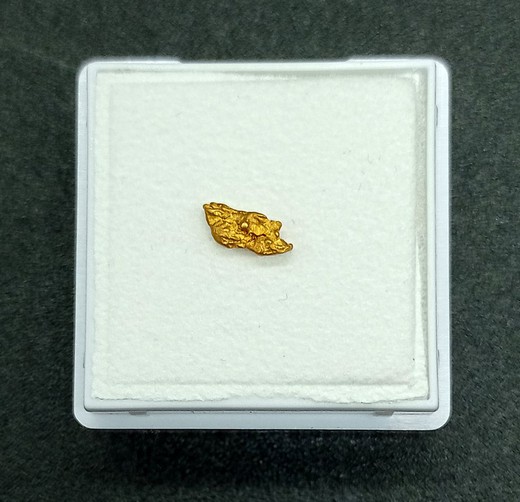 Oro Nativo (pepita de 0,2 g) Ref. 2.2