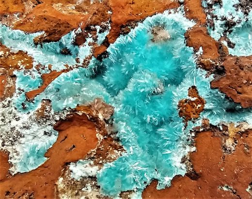 Minerales de Colección