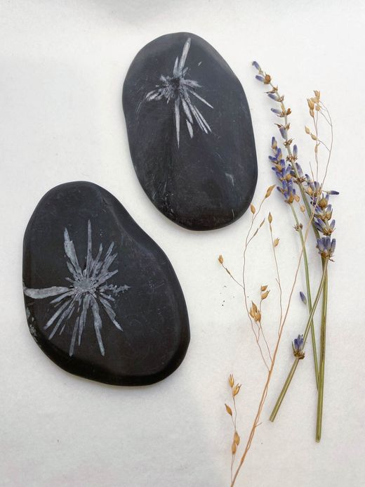 Rocas