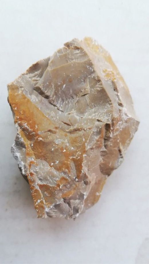 Rocas sedimentarias (serie media)