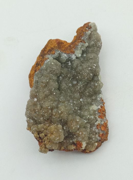 Adamina