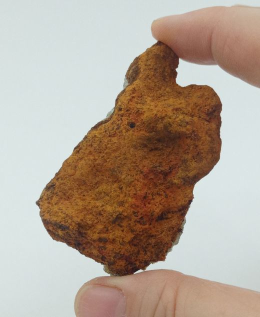 Adamina