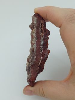 Adamina