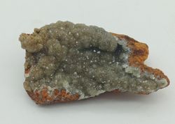 Adamina