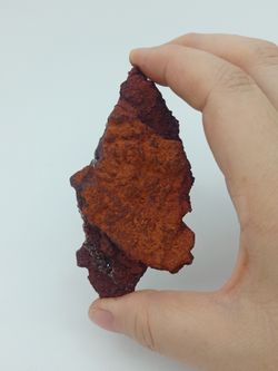 Adamina