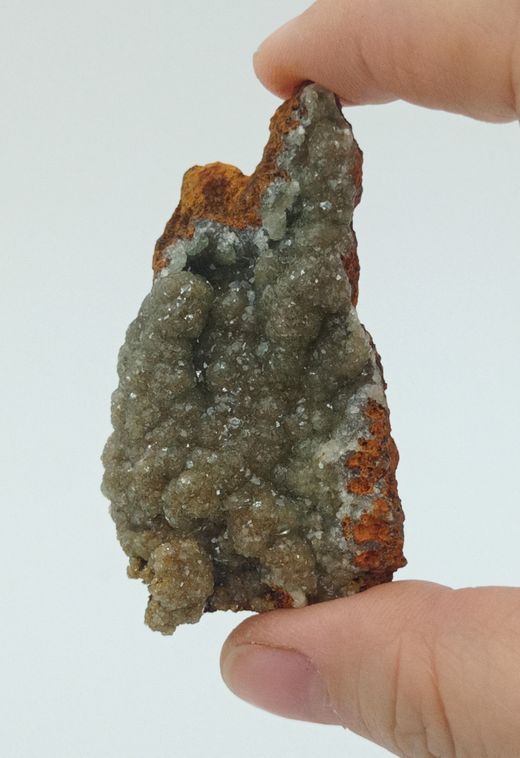 Adamina