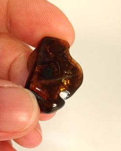 Ágata de Fuego en superficie parcialmente pulida (Ref. 8)