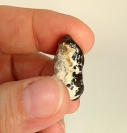 Ágata de Fuego parcialmente pulida (Ref. 7)
