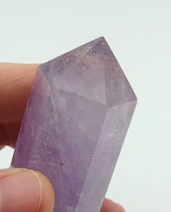 Amatista biterminada