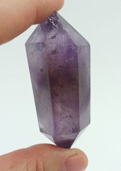 Amatista biterminada