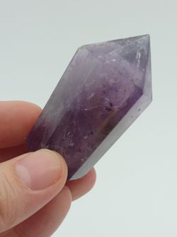 Amatista biterminada