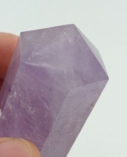 Amatista biterminada