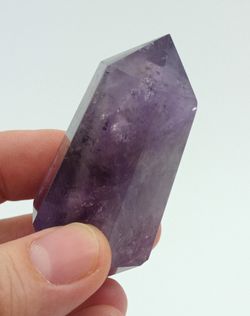 Amatista biterminada