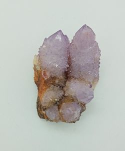 Amatista Cactus
