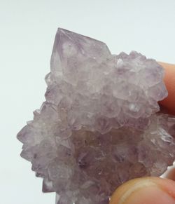 Amatista cactus grupo de cristales