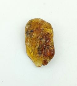 Ámbar (resina fósil)