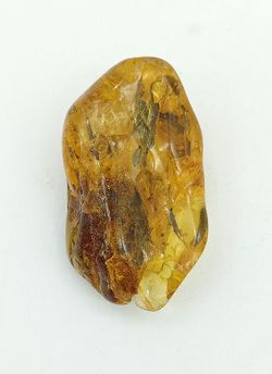 Ámbar (resina fósil)