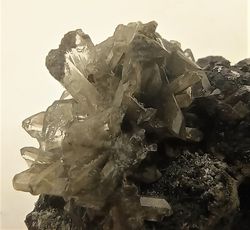 Anglesita sobre Galena