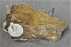 Artinita (Nódulo de cristales aciculares en matriz)
