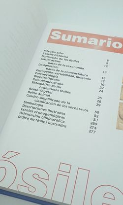 Atlas ilustrado de los Fósiles