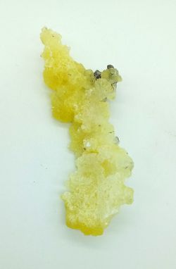 Brucita