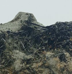 Byssolita - Ref.1