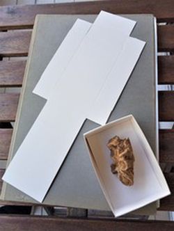 Caja plegable troquelada de 60x95 mm. Pack de 25 unidades