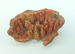 Calcedonia en estalactitas