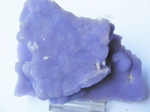 Calcedonia malva