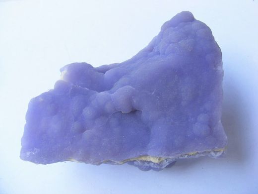 Calcedonia malva
