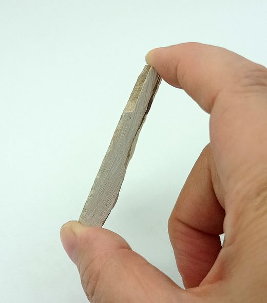 Carpopenaeus (Gamba fósil)