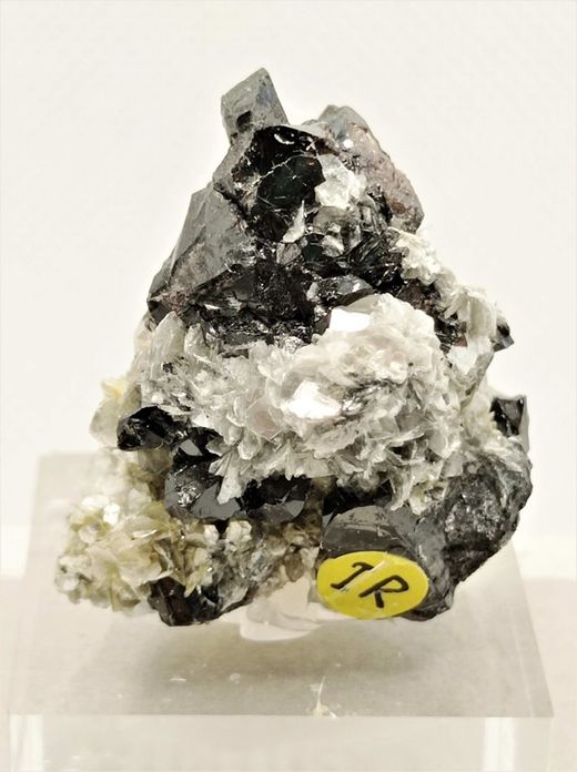 Casiterita en "pico de estaño" con Moscovita