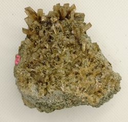Clinozoisita cristales sobre allanita