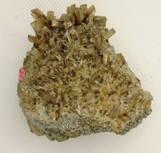 Clinozoisita cristales sobre allanita