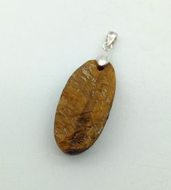 Colgante Ojo de tigre ovalado