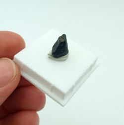 Coltan (Columbita + Tantalita) en urna