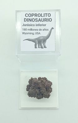 Coprolito de Dinosaurio
