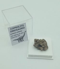 Coprolito Dinosaurio (Ref. 2)
