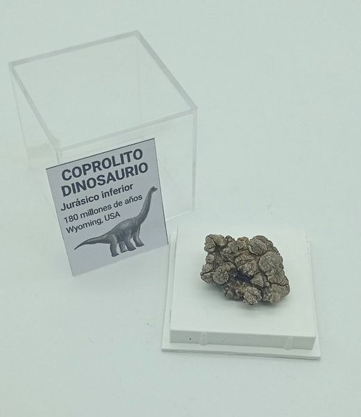 Coprolito Dinosaurio (Ref. 2)