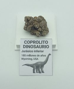 Coprolito Dinosaurio (Ref. 2)