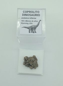Coprolito Dinosaurio (Ref. 2)