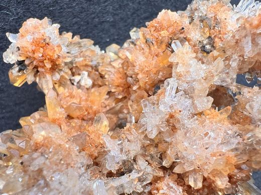 Creedita