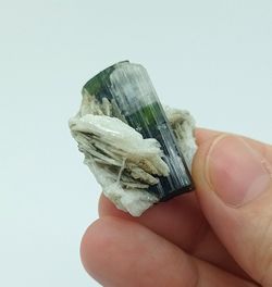 Cristal bicolor de Turmalina sobre Clevelandita