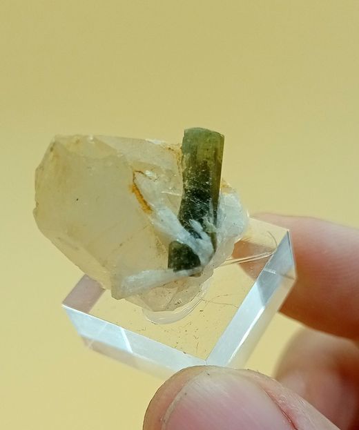 Cristal de Turmalina recubierto de Albita sobre Cuarzo