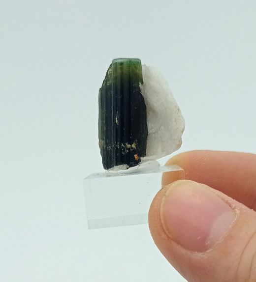 Cristal de Turmalina verde con recubrimiento parcial