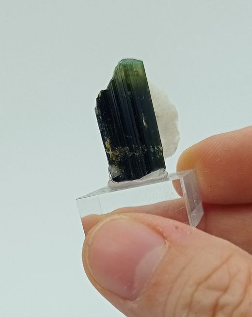 Cristal de Turmalina verde con recubrimiento parcial